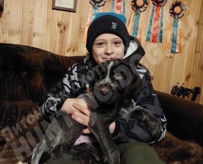 Новые владельцы